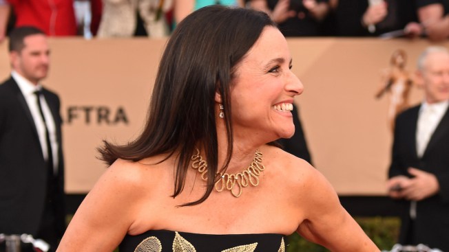 Beat It: Julia Louis-Dreyfus Sons Mark Her Last Day of Chemotherapy