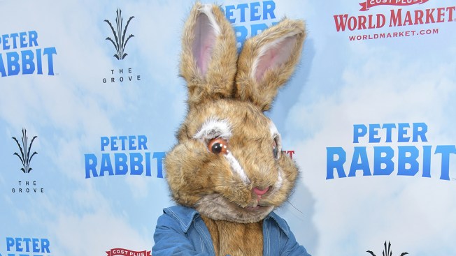 peter rabbit team apologizes