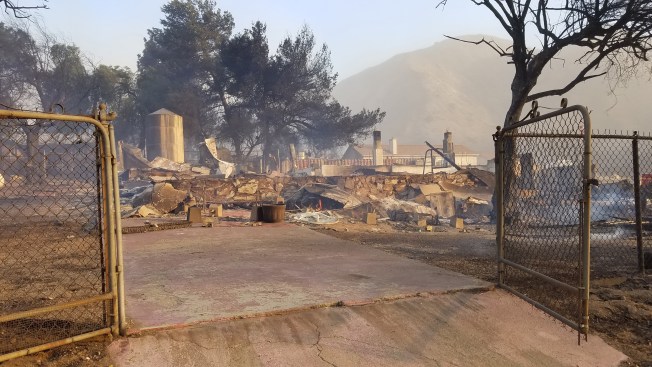 Creek Fire burns 1000 acres in LA foothills; Evacuation orders in place Creek Fire burns 1000 acres in LA foothills; Evacuation orders in place