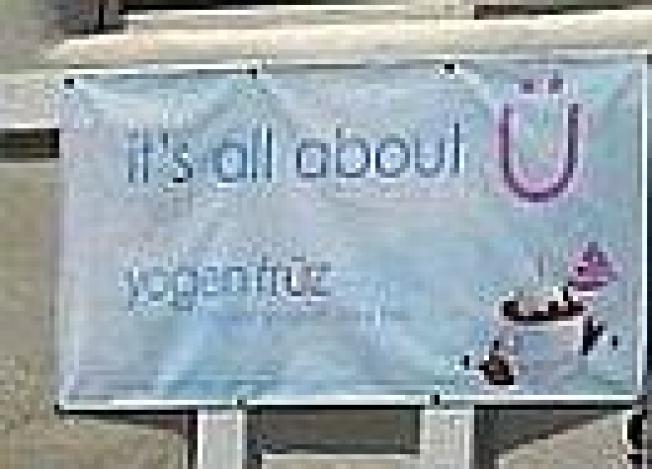 Froyo Onslaught Cont.: Yet another frozen yogurt chain...