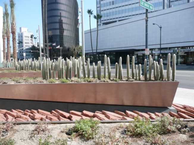SidewalkWatch: The Happy Cacti of Wilshire Boulevard