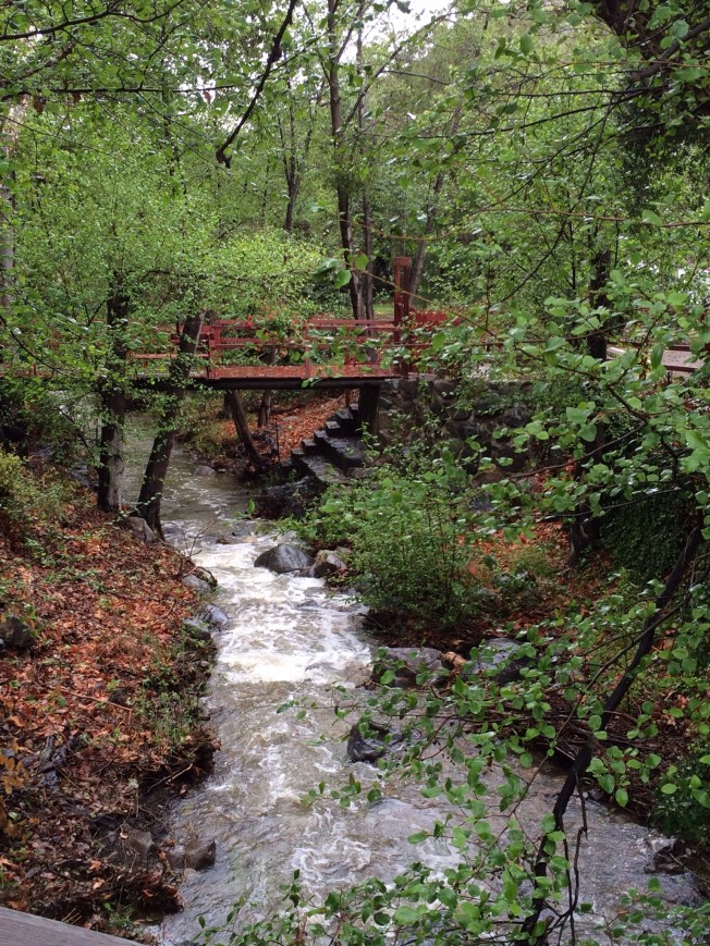 Silverado Canyon Evacuation Advisory Lifted as Storm ...
