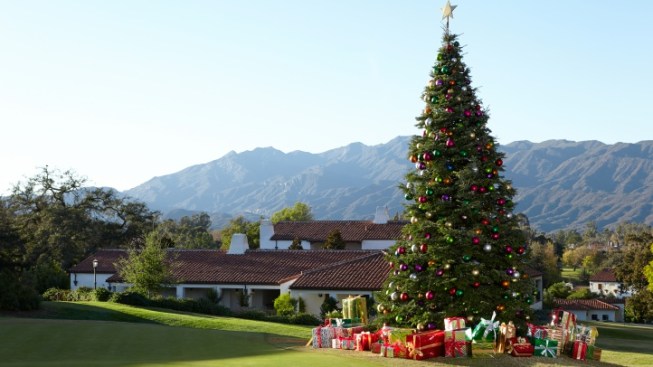 Joy in california