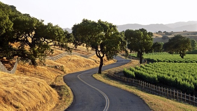 Los Olivos: Flavorful Fall Festivity