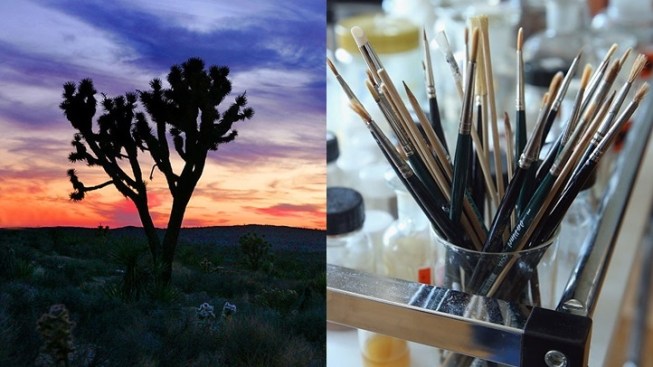 Top 5 Short Distance Road Trips from Los Angeles